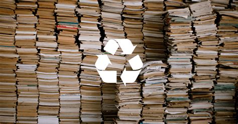 Can You Recycle Books? Exploring the Unwritten Rules of Literary Sustainability