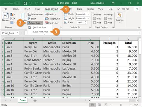 How to Define Print Area in Excel and Why It's Like Herding Cats