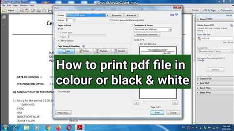 How to Print a PDF in Black and White and Why Your Printer Might Be Plotting Against You